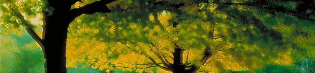 Ebenhaezer Rotating Header Image